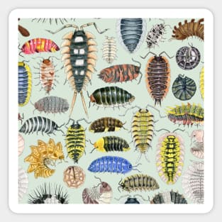 Crazy Isopod Pattern- Aqua Sticker